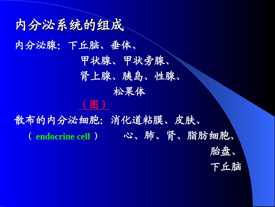 第九章 内分泌_第3页