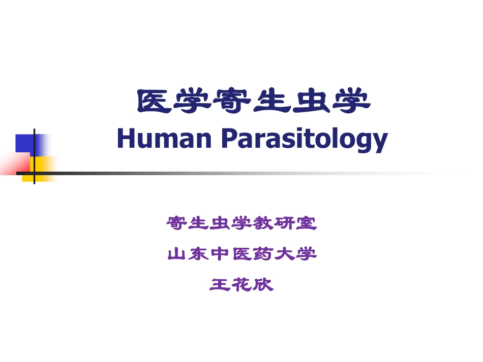 第三讲钩鞭虫_第1页