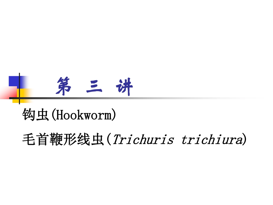 第三讲钩鞭虫_第2页