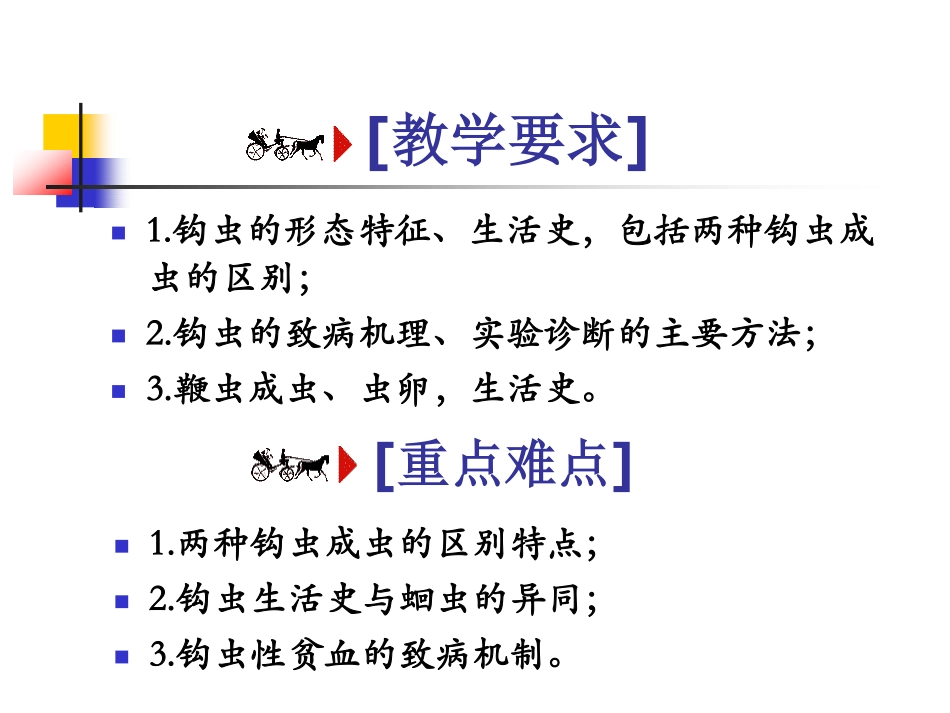 第三讲钩鞭虫_第3页