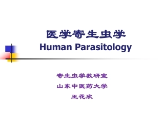 第三讲钩鞭虫