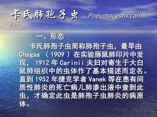 第三节  卡氏肺孢子虫