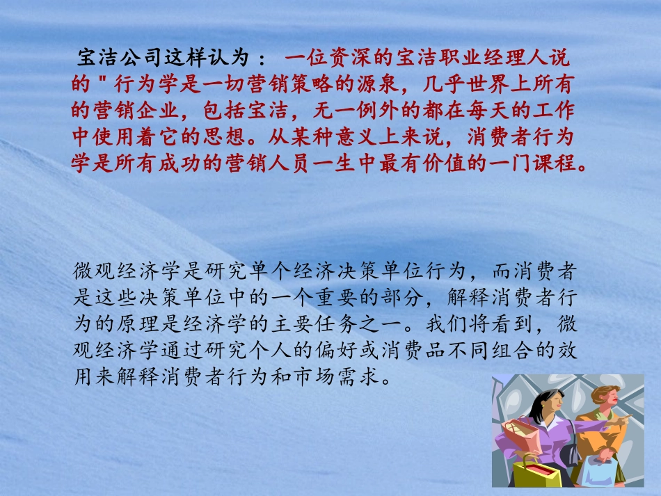 第三章消费者行为理论_第2页