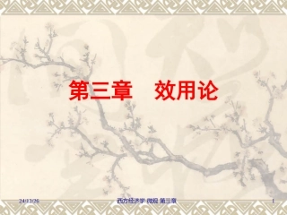 第三章__效用论