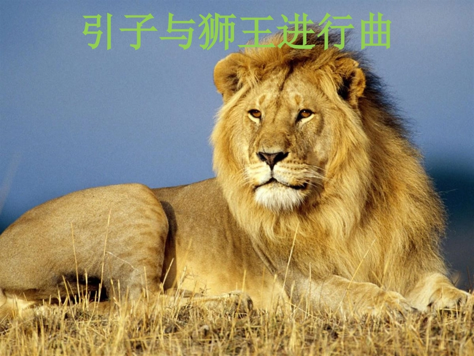 《引子与狮王进行曲》_第1页
