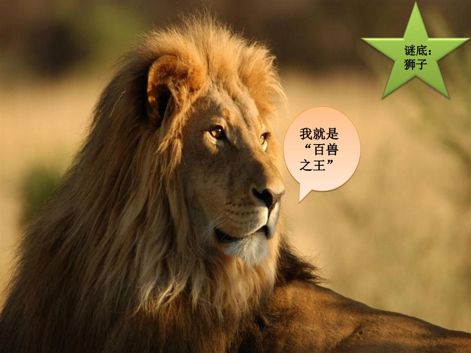 《引子与狮王进行曲》_第3页