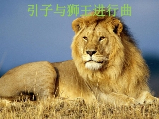 《引子与狮王进行曲》