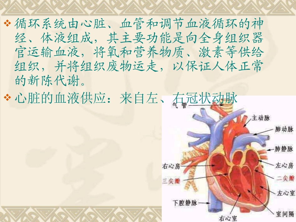第三章1循环症状_第3页