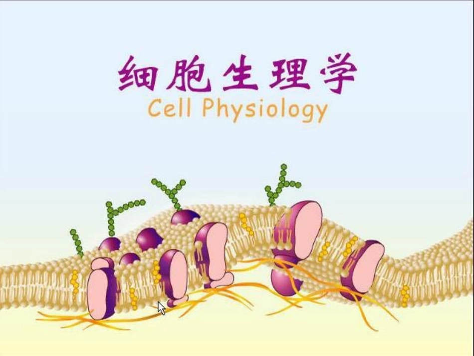 第三章 细胞生理学(旧)_第1页