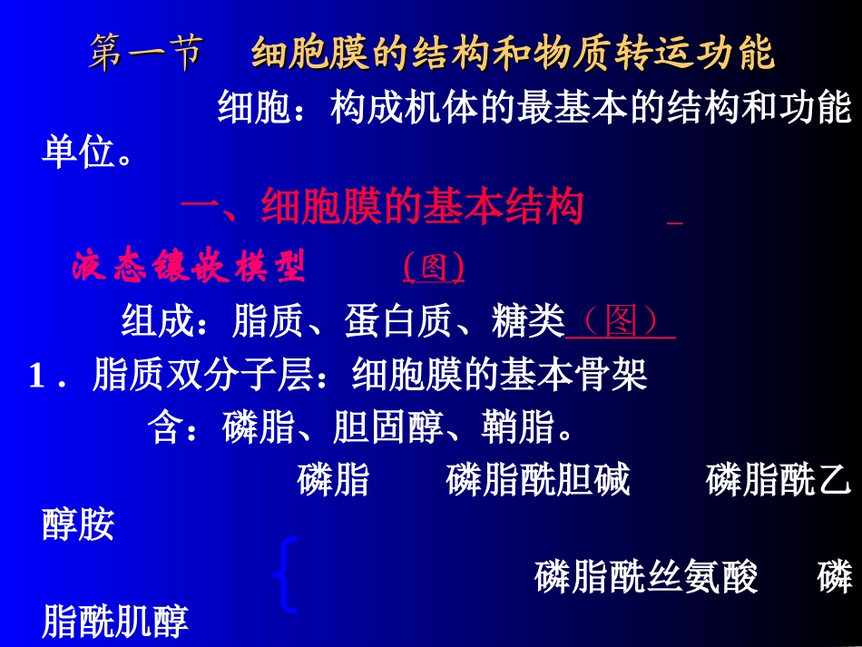 第三章 细胞生理学(旧)_第3页