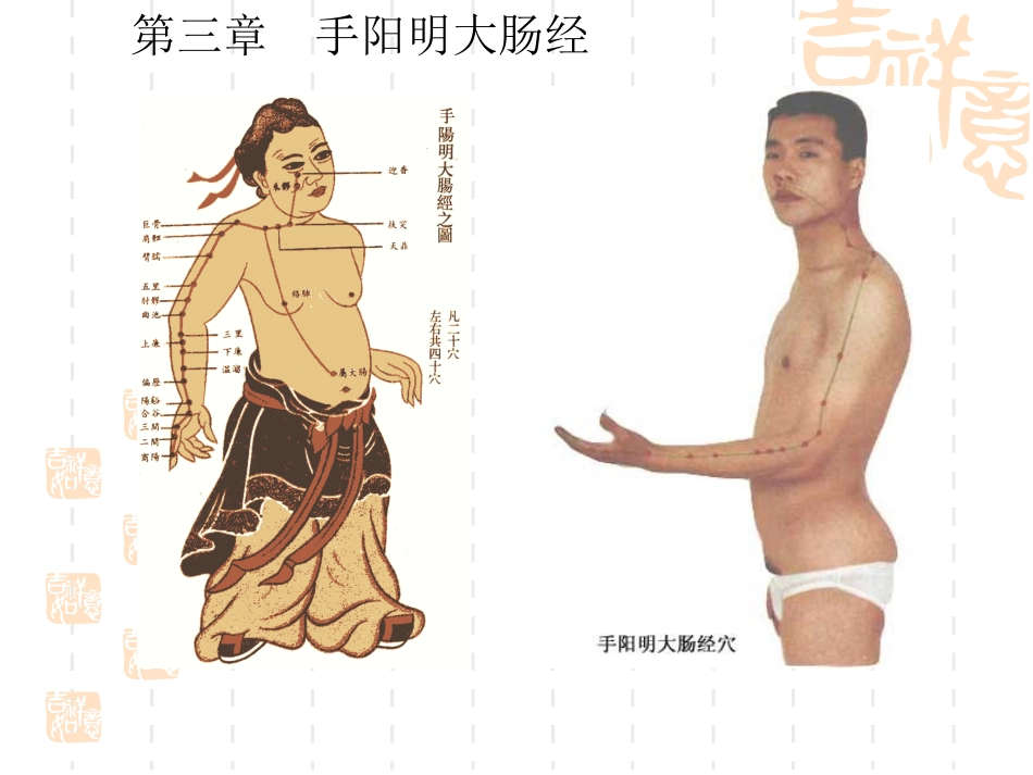 第三章 大肠经_第2页