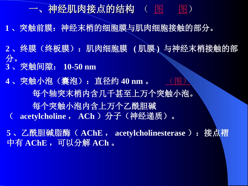 第三章 兴奋在神经肌肉之间的传递_第2页