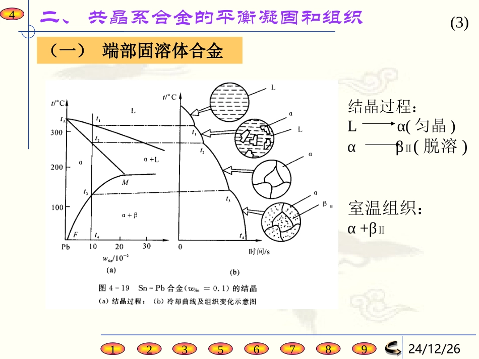 第三章  共晶相图及其结晶_第3页