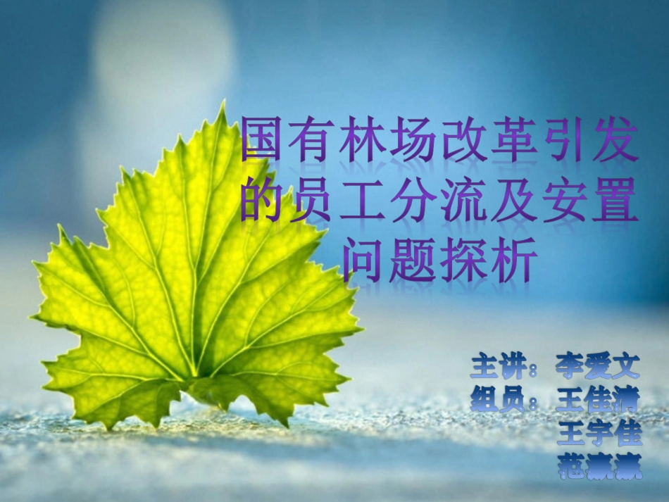 第七组国有林场改革后员工分流安置问题的探析_第1页