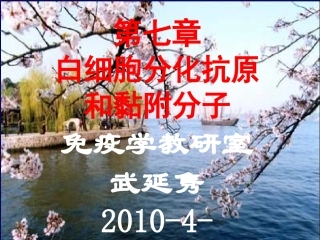 第七章CD抗原与黏附分子