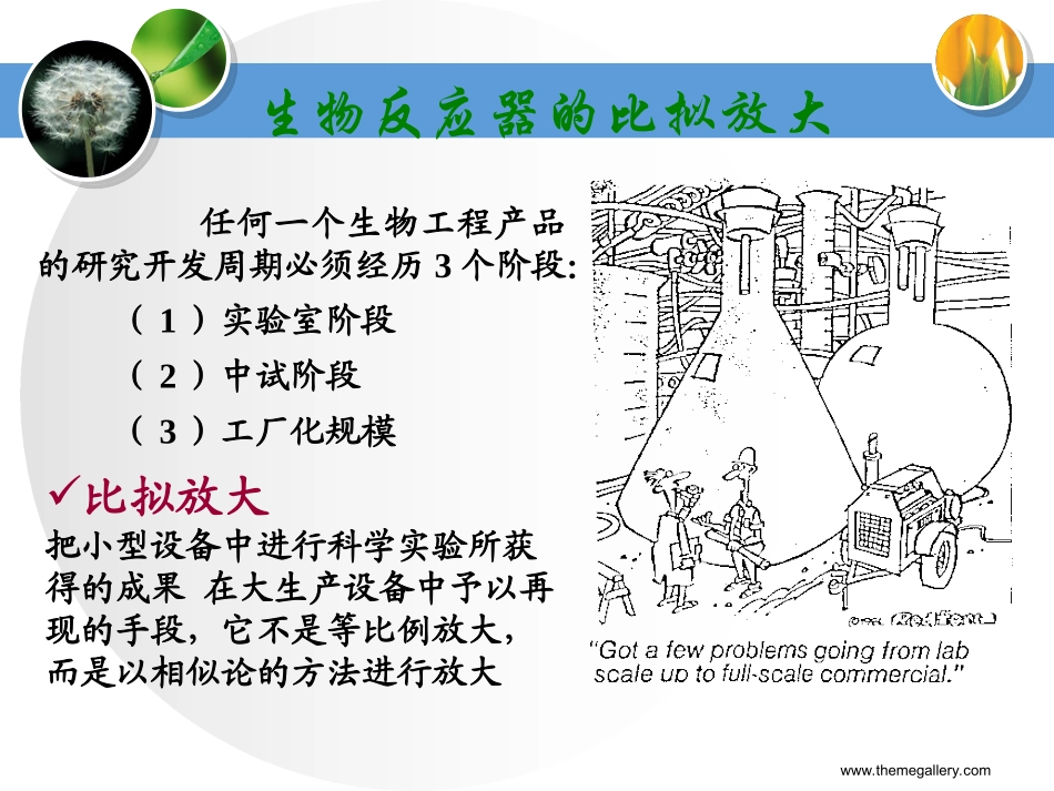 第七章  比拟放大_第2页