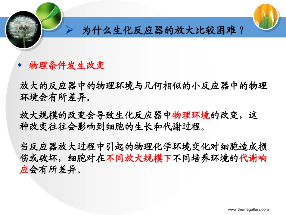 第七章  比拟放大_第3页