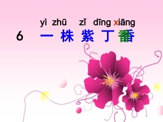 课文6一株紫丁香.