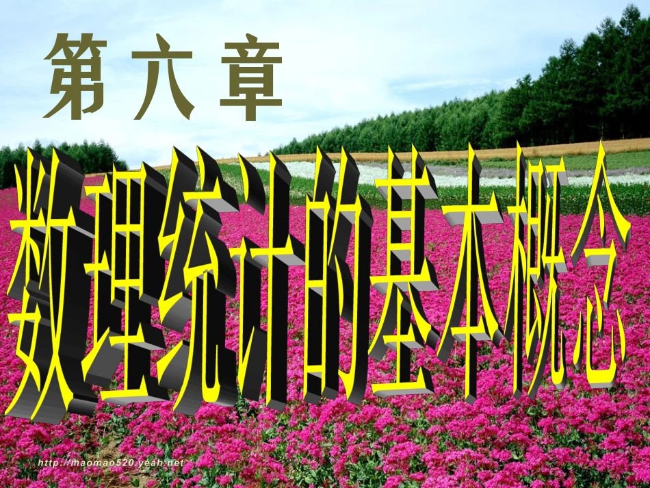 第一节 简单随机样本_第1页