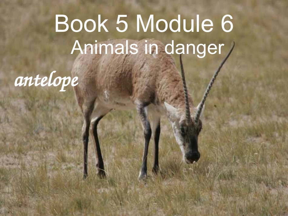 第一课时       module 6_第1页