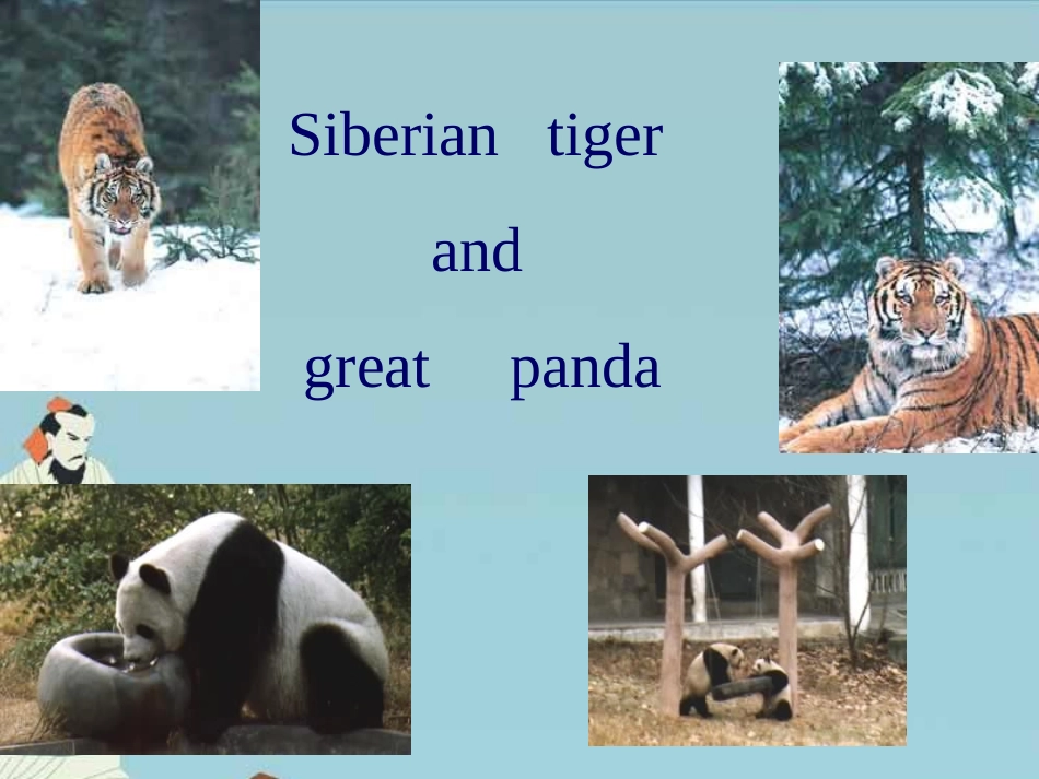 第一课时       module 6_第3页