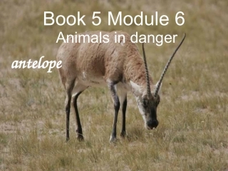 第一课时       module 6