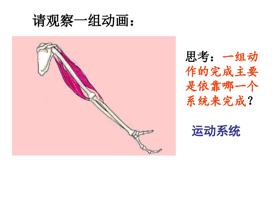 第一节_动物的运动yong.ppt_第3页
