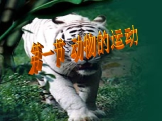 第一节_动物的运动yong.ppt