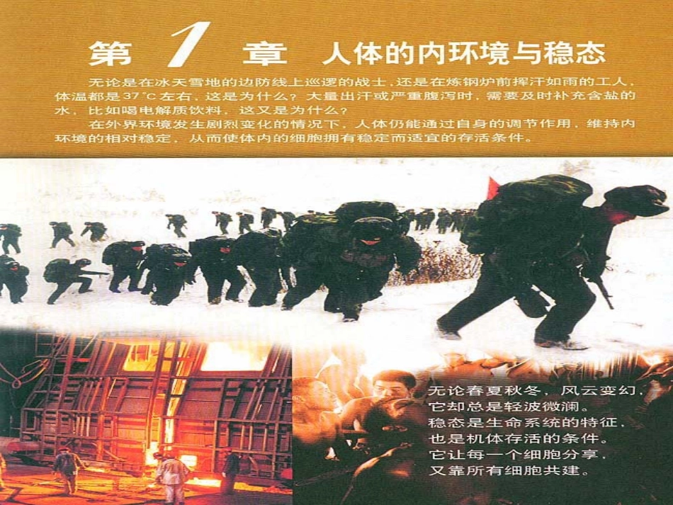 第一章第一节细胞生活的环境_第1页