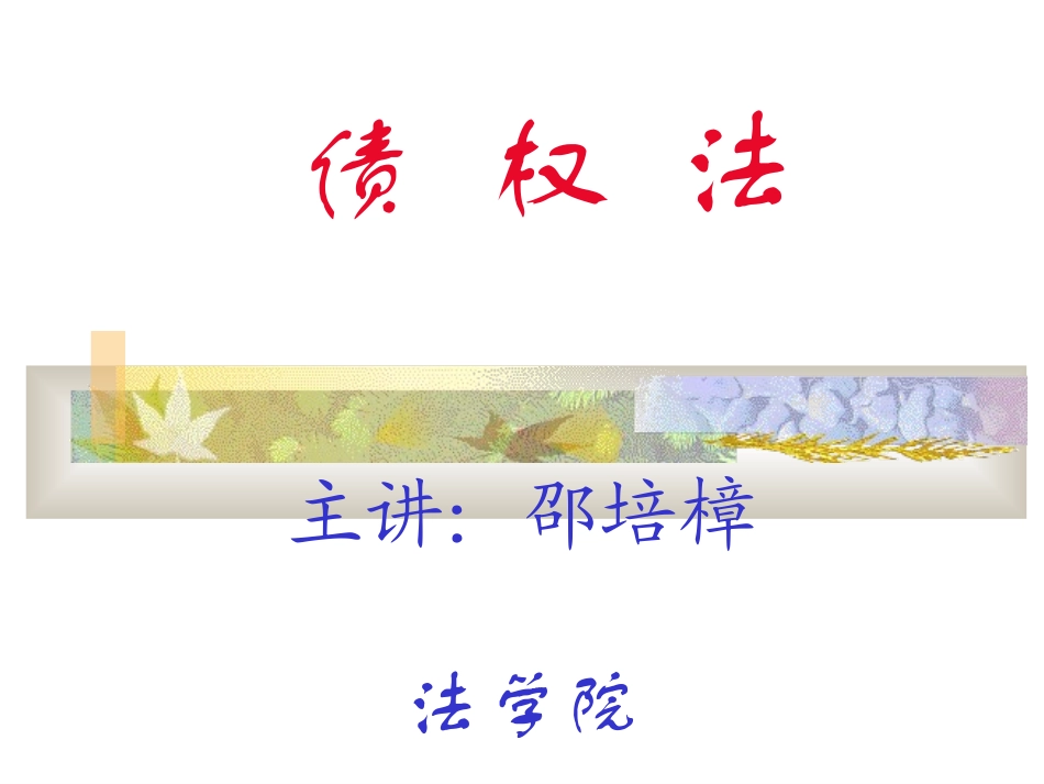 第一章债的概述ketanyong_第1页