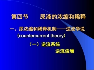 第4节 尿液的浓缩和稀释