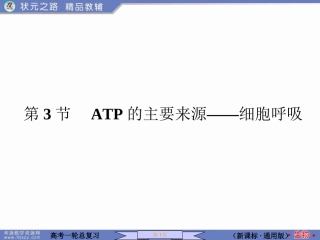 第3节 ATP的主要来源——细胞呼吸