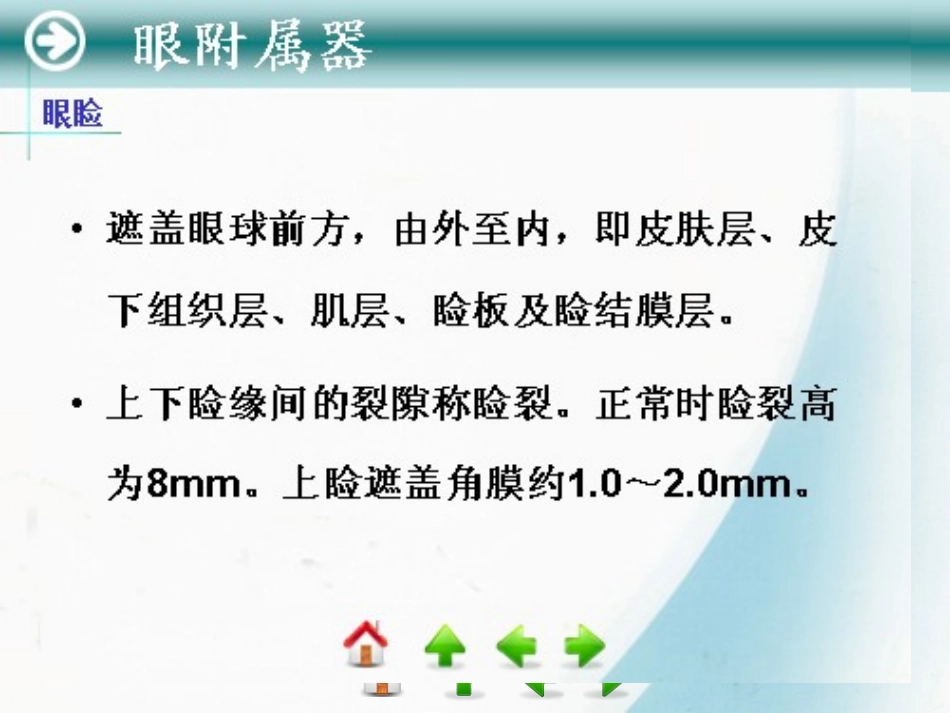 第3节  眼睑疾病_第3页