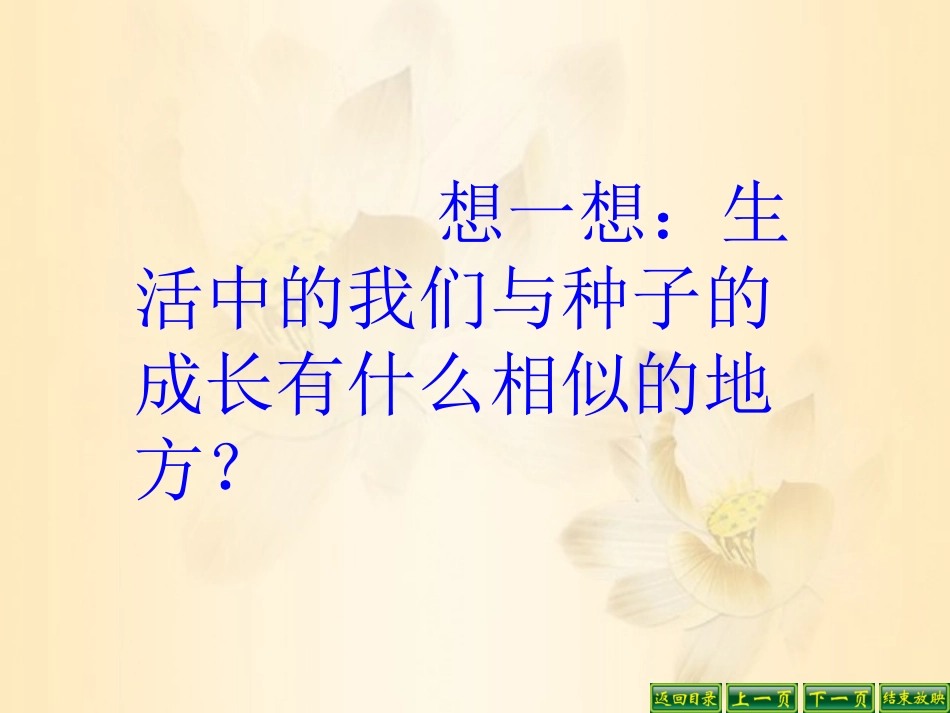 第1站  角色与责任_第3页