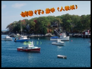 人教版七年级下册数学512垂线(2)课件