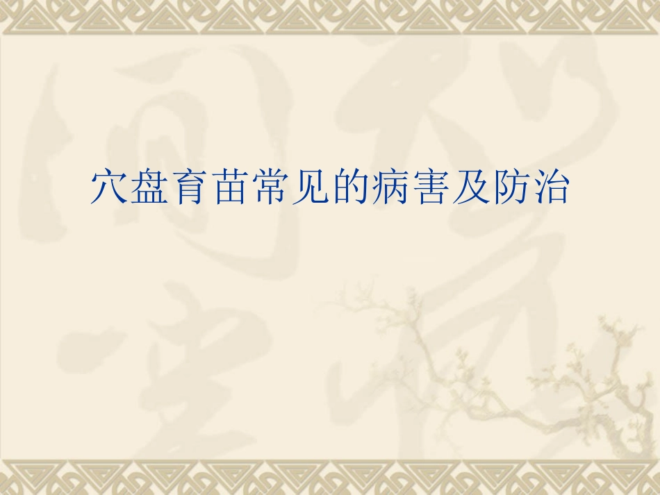 穴盘育苗常见的病害及防治_第1页
