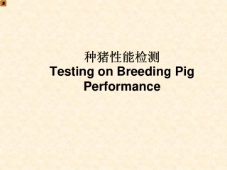 种猪性能检测