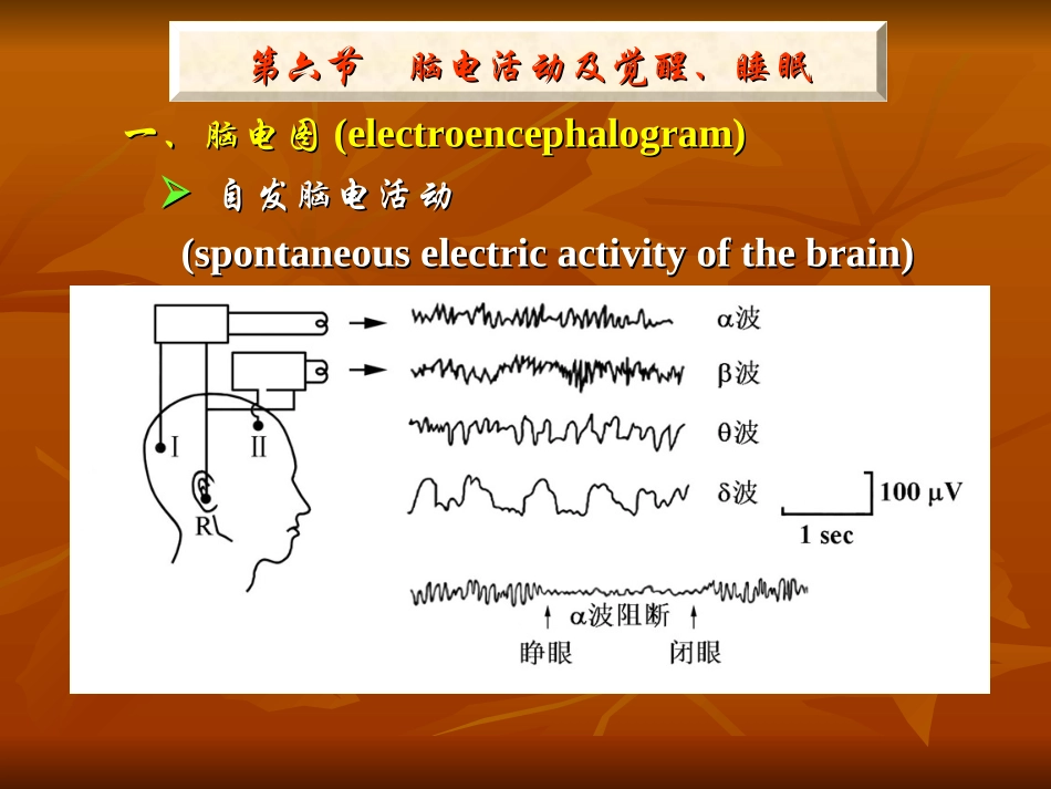 神经系统77大全_第1页
