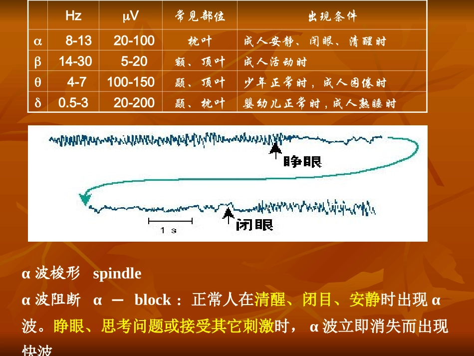 神经系统77大全_第2页