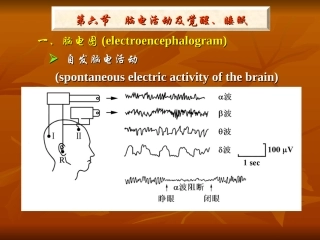 神经系统77大全