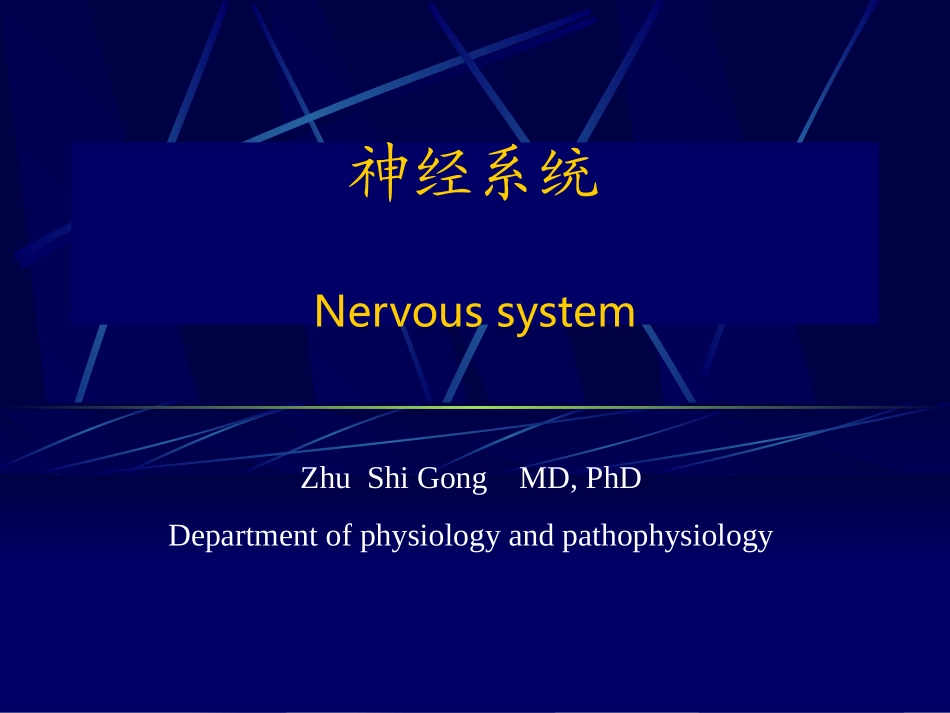 神经系统(英1)(完整)_第1页