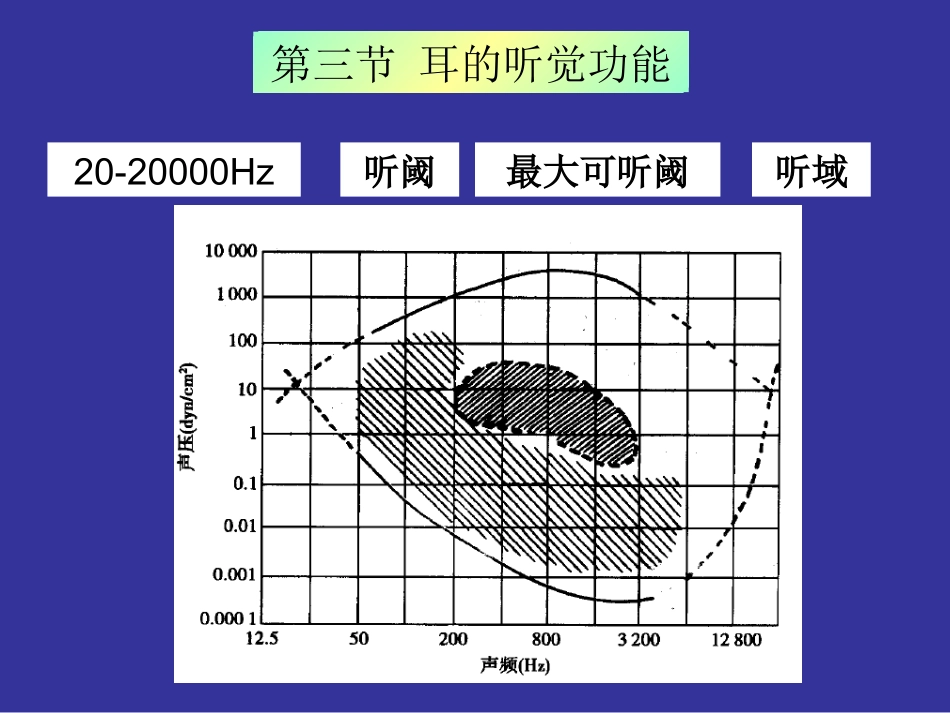 神经生物学 听觉_第1页