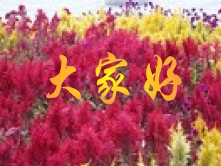 社区高血压患者随访