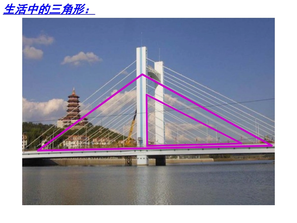 廖惠清三角形的认识rens_第3页