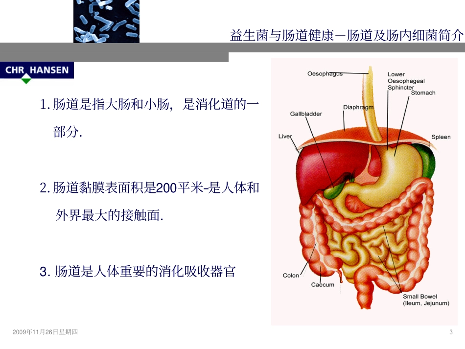 益生菌与肠道健康(汉深资料)_第3页