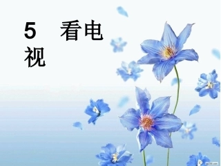 1049杜宏霞《看电视》