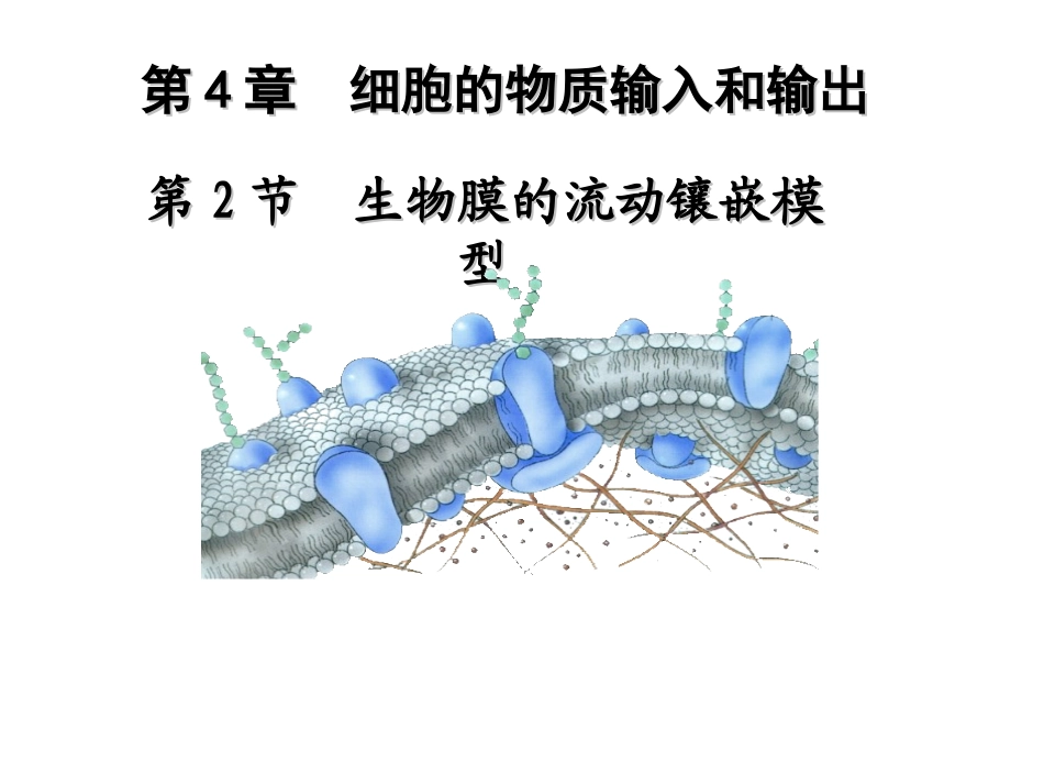 4.2生物膜的流动镶嵌模型yxl_第1页