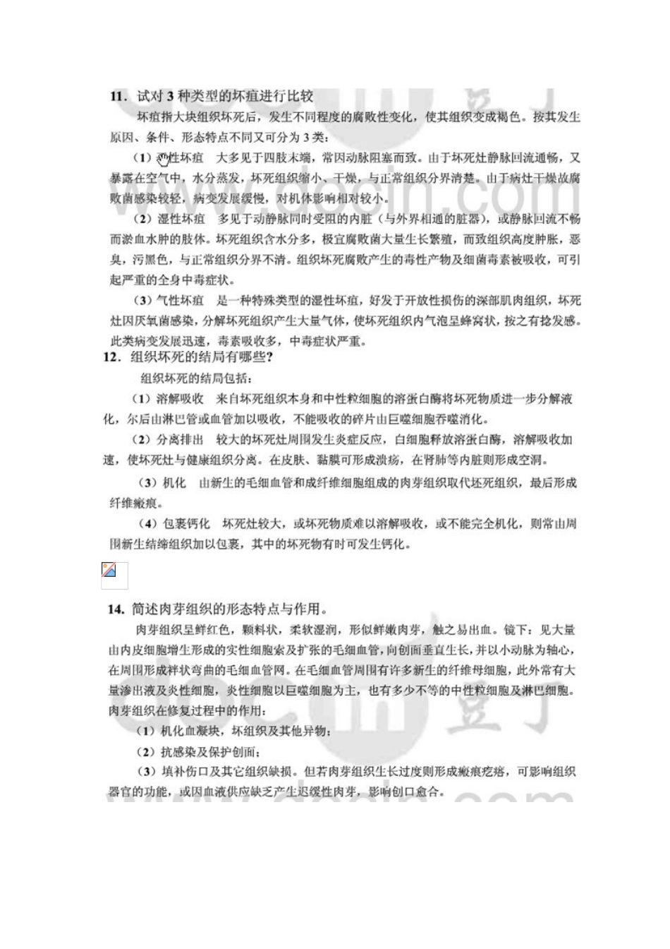 病理练习册答案_第2页