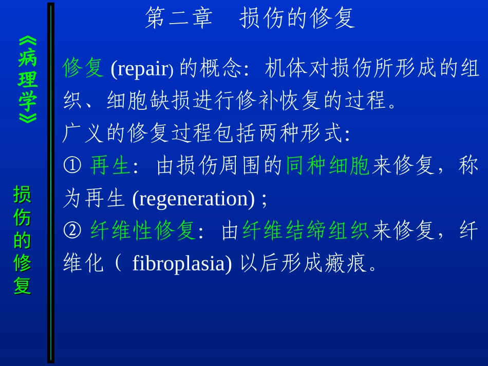病理-损伤的修复_第1页