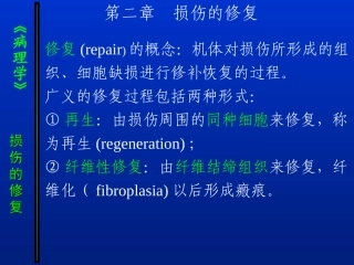 病理-损伤的修复